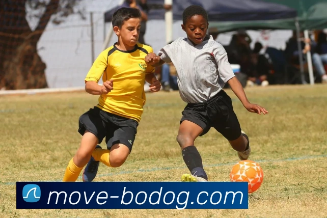 博狗娱乐发展历程