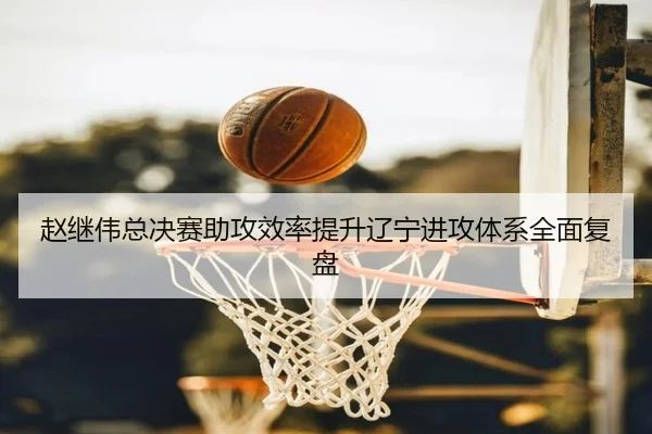 赵继伟总决赛助攻效率提升辽宁进攻体系全面复盘（bogou）